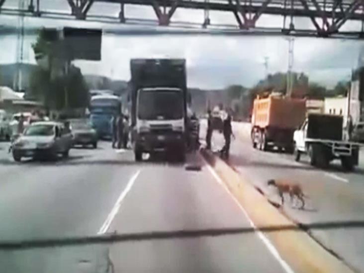 Venezolanos Saquean Un Cami N Que Transportaba Pollos Debido A La