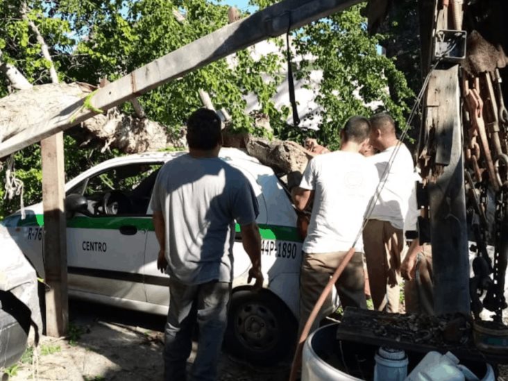 Cae Enorme Rbol Sobre Dos Carros