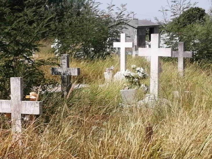 Abandono Y Olvido En El Pante N Municipal