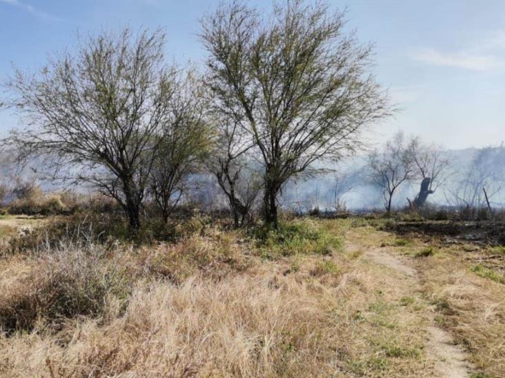 Aumentan Incendios Forestales Y Piden Evitar Quema De Basura