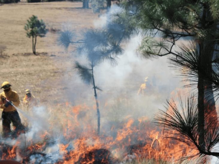 Muere Brigadista En Incendio