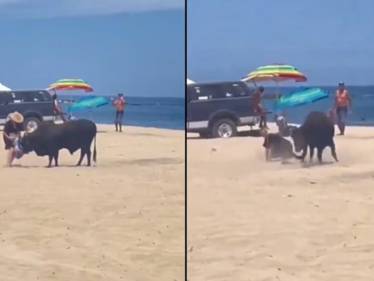 Embiste Toro A Una Mujer En La Playa La Fortuna