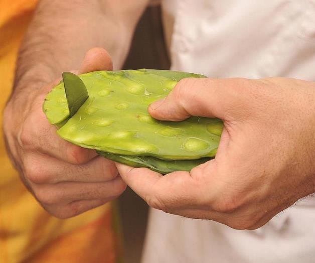 Científicos comprueban beneficios del nopal en personas obesas o diabéticas