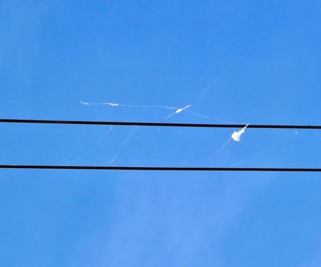 Causa expectación lluvia de telarañas