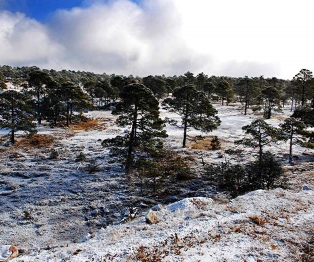 Se congela Durango; registra La Rosilla 16 grados bajo cero