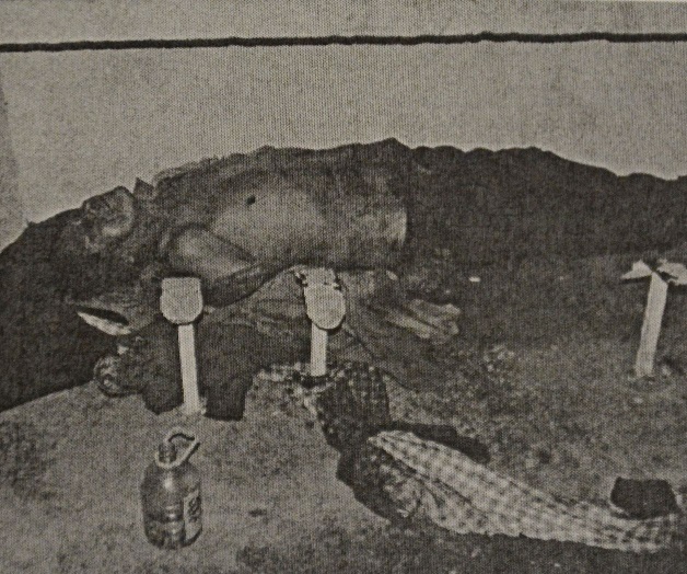 Muere indigentepor el gélido frío Muere indigentepor el gélido frío