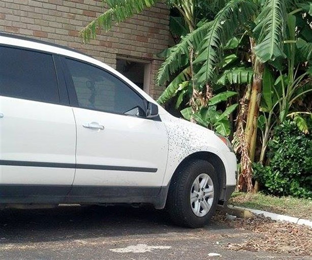 Fijan fianza de 750 mda implicado en balacera
