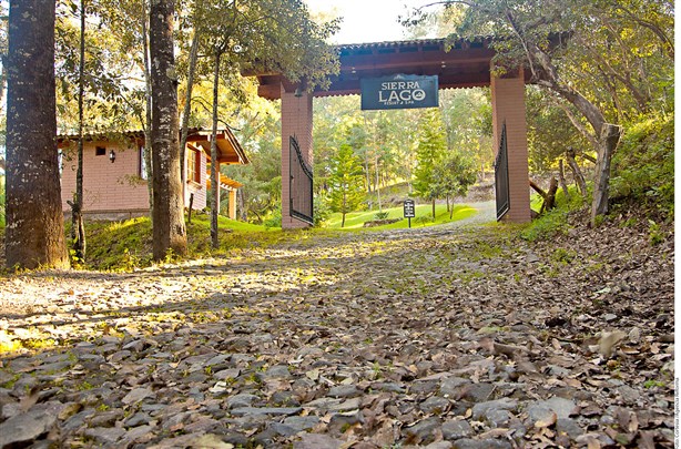 Para perderse en el bosque