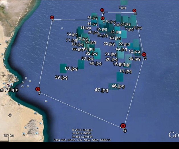 Apoya Greenpeace propuesta para limitar pesca de la Vaquita Marina Apoya Greenpeace propuesta para limitar pesca de la Vaquita Marina