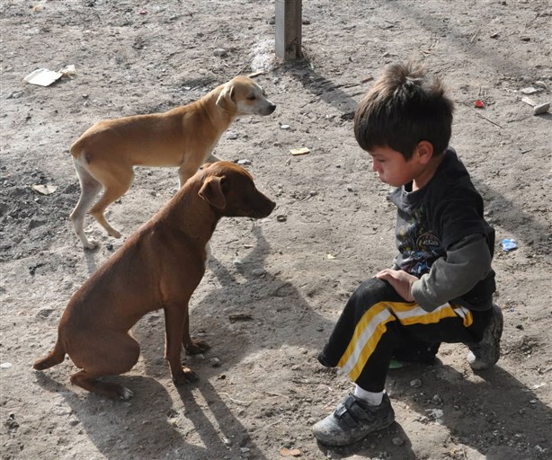 Cuando al interior se siente 0 grados