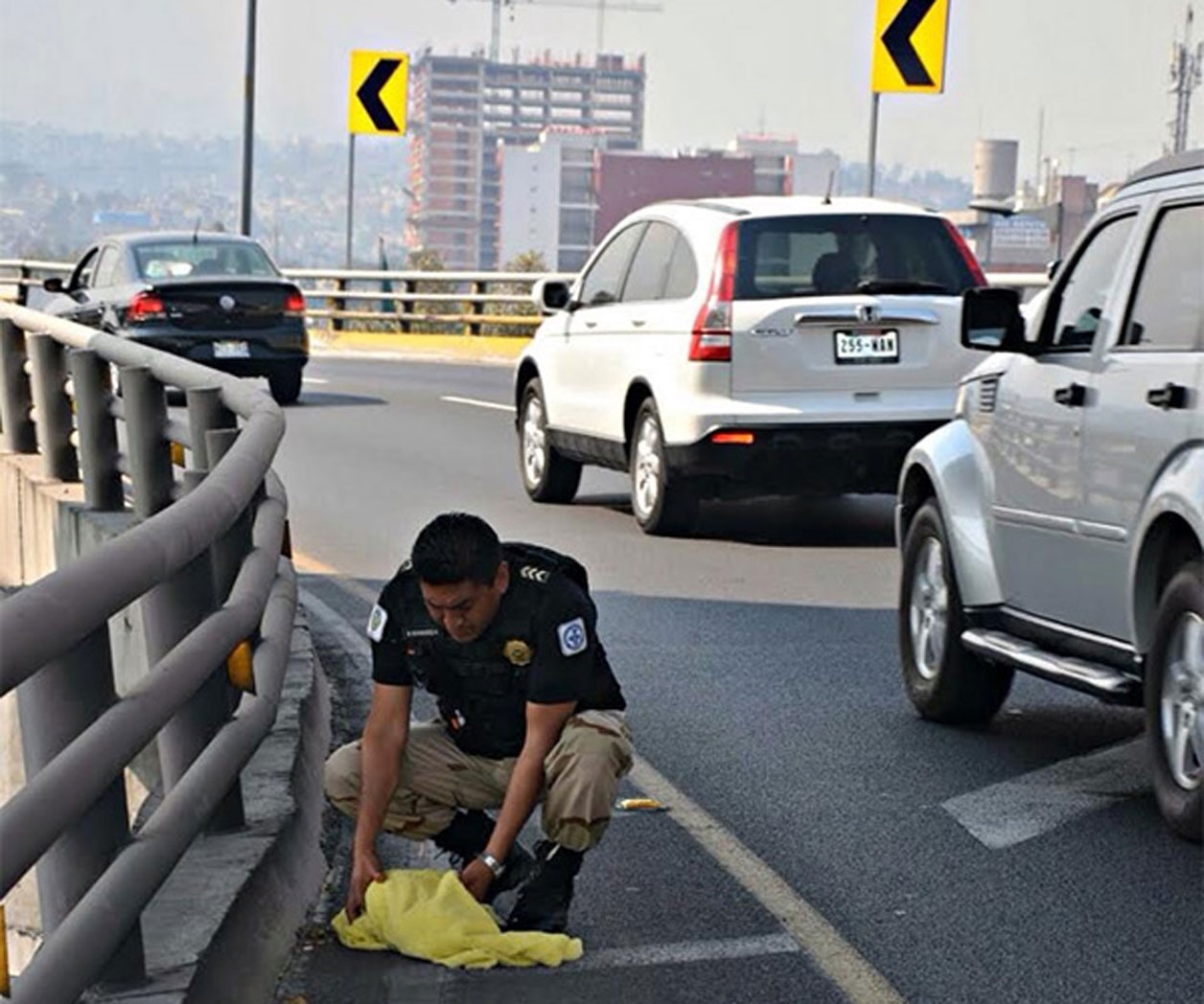 Rescatan a un perro en el Segundo Piso del Periférico Rescatan a un perro en el Segundo Piso del Periférico