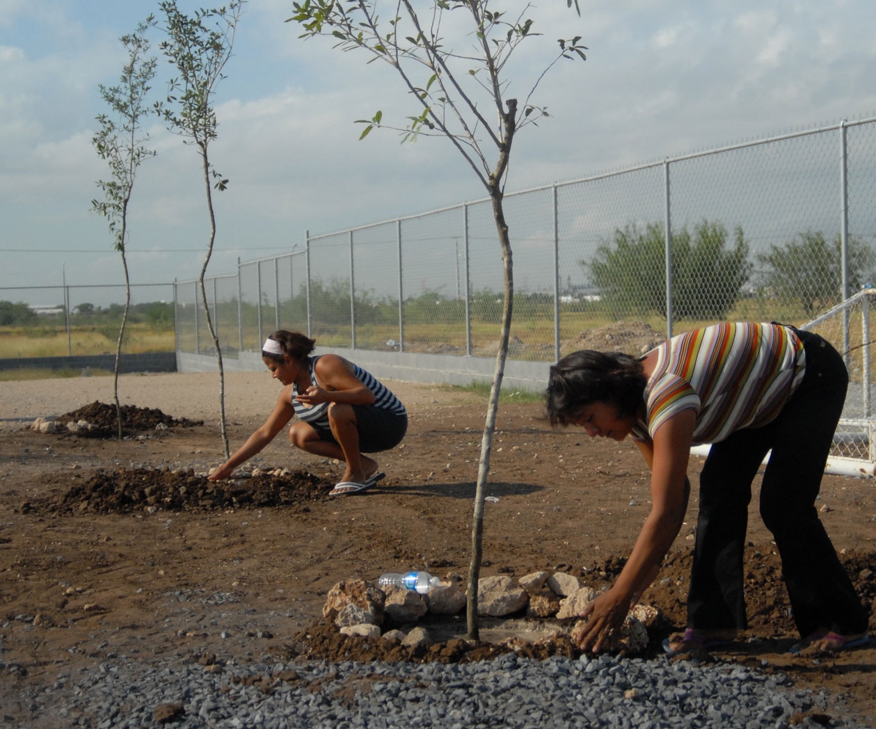 Reforestación en escuelas y colonias Reforestación en escuelas y colonias