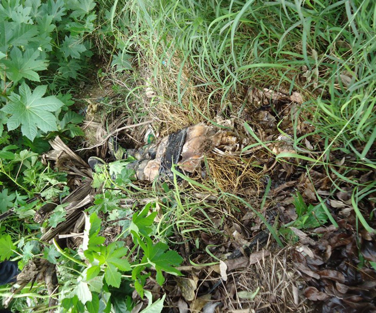 Hallan cuerpo demuerto en monte