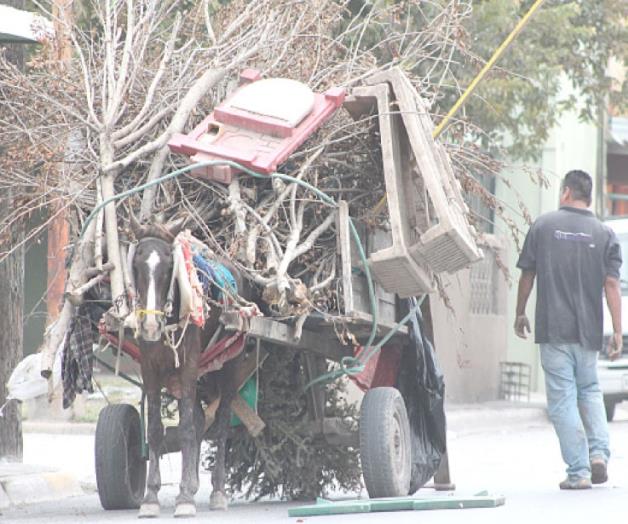 ‘Alegra’ carretonerosfallas en la limpieza
