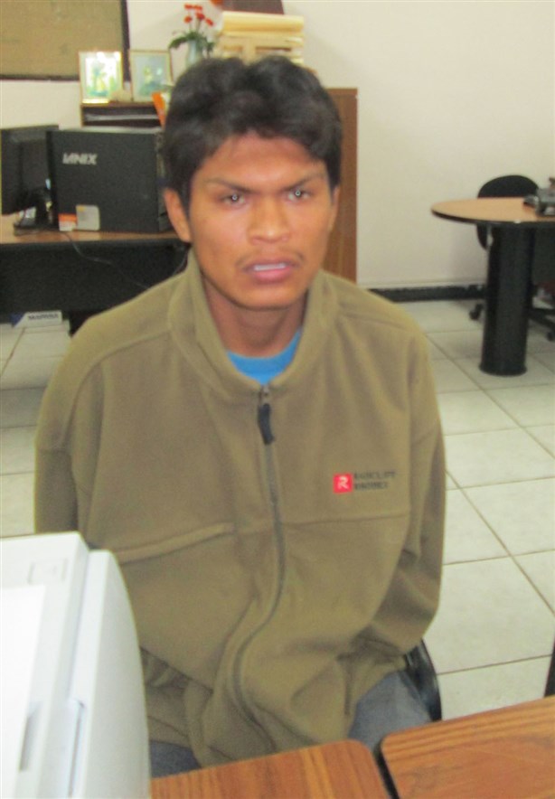 Desmantelan granja porcina