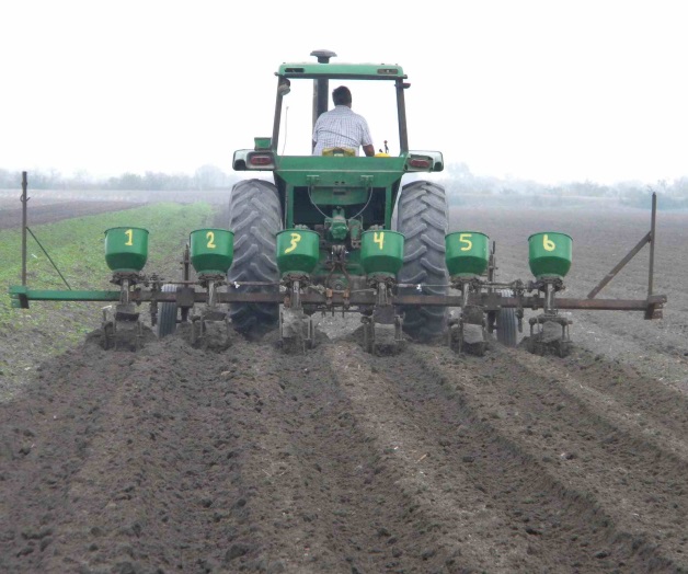 Ansían agricultores que mejore el clima Ansían agricultores que mejore el clima