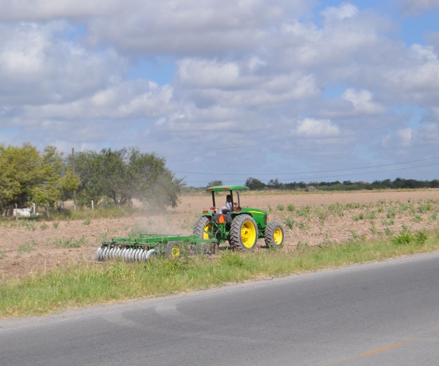Revela UARNT, resultados en proyecto de tortillas de sorgo Revela UARNT, resultados en proyecto de tortillas de sorgo