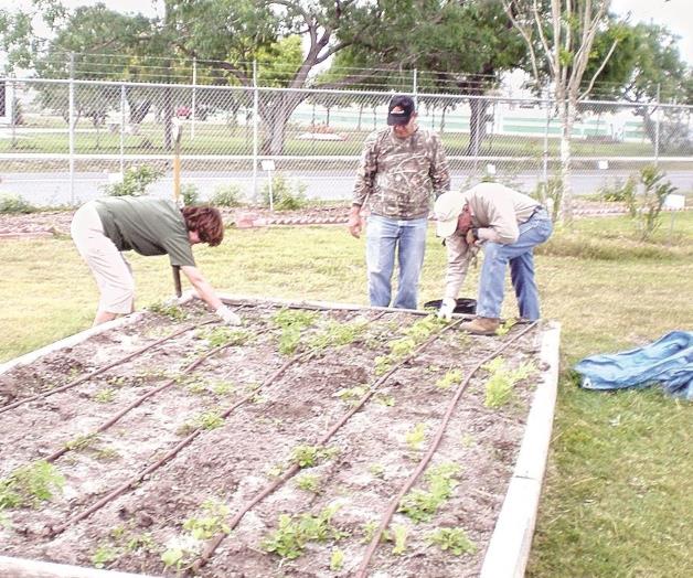 Programan serie declases de jardinería Programan serie declases de jardinería