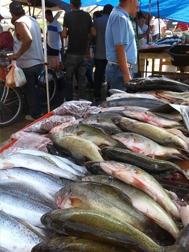Respiran comerciantes de mariscos en la Puntillita