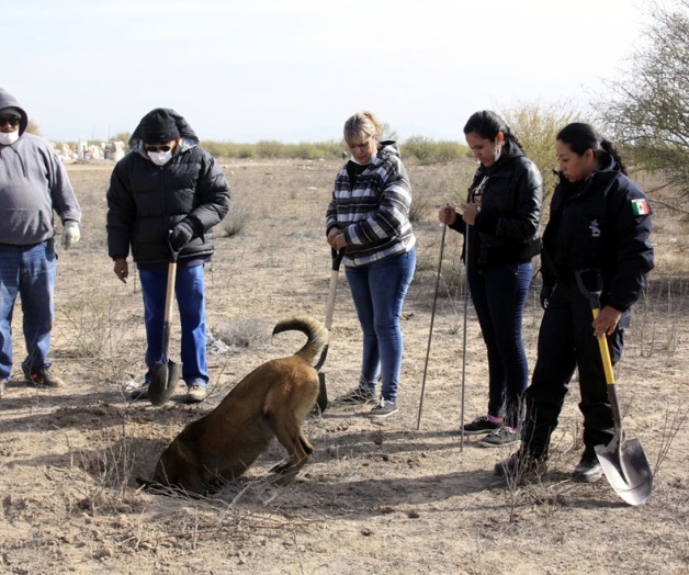 Buscan a desaparecidos en La Laguna Buscan a desaparecidos en La Laguna