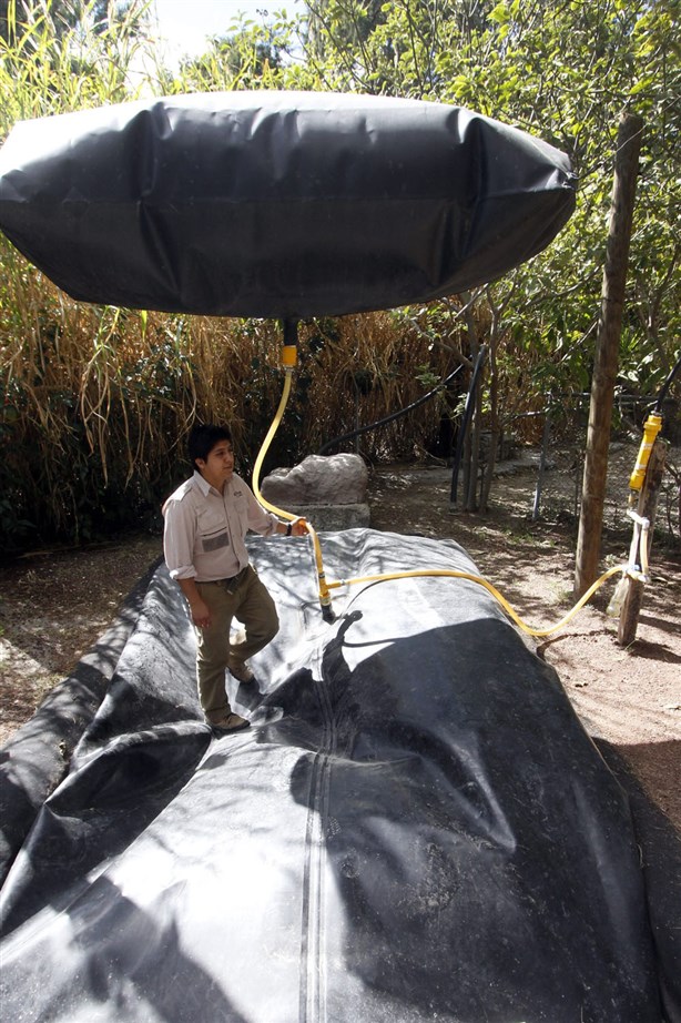 Zoológico produce el biogáscon excremento de elefantes