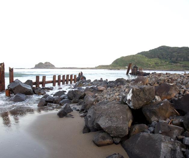 Destruyen reserva natural para ampliar el puerto Destruyen reserva natural para ampliar el puerto