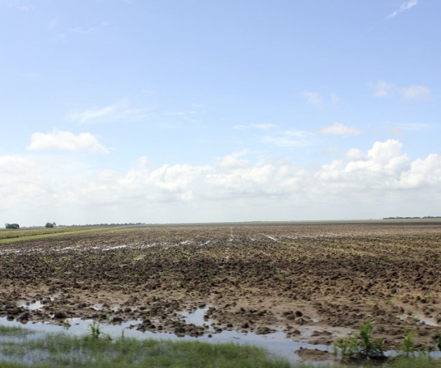 Lluvias frenan la siembra de cultivos
