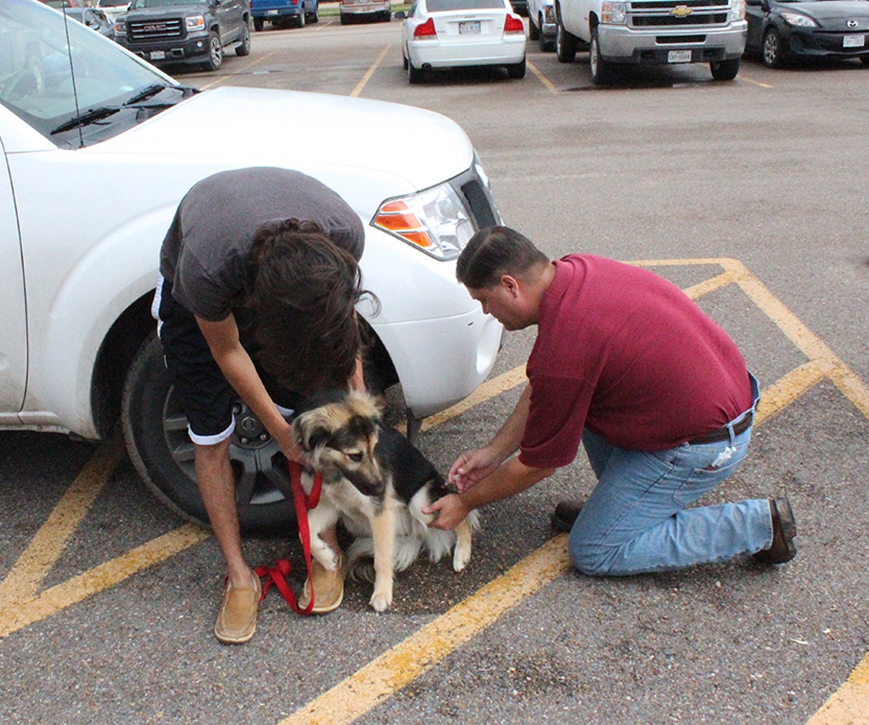 Jornada de vacunación antirrábica