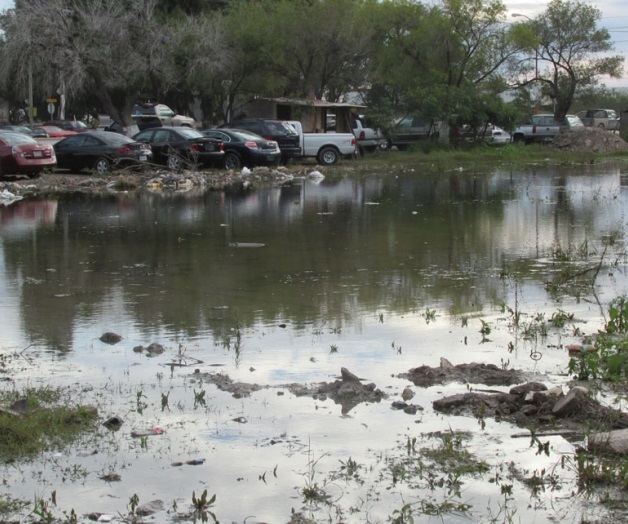 Persiste amenaza de dengue en tianguis Persiste amenaza de dengue en tianguis