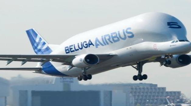 Beluga: el gigante de los cielos está listo para ser más grande