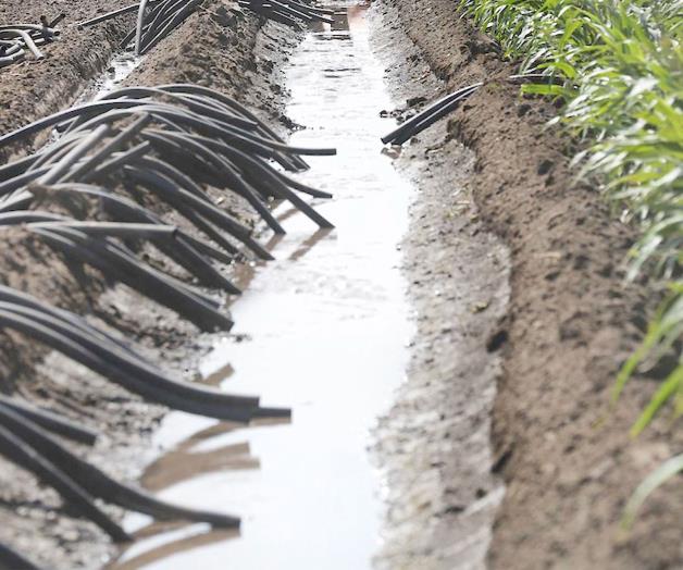 Entregan a la región millonaria subvención Entregan a la región millonaria subvención