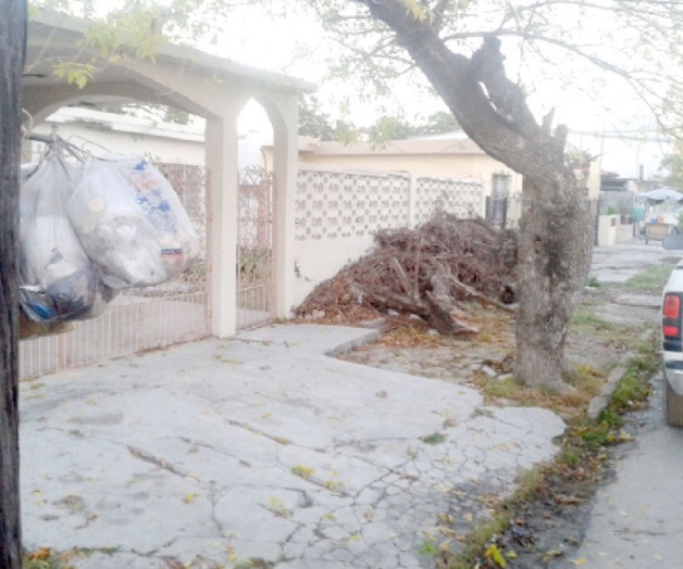 Acusan a vecinosde ser ‘ecolocos’ Acusan a vecinosde ser ‘ecolocos’