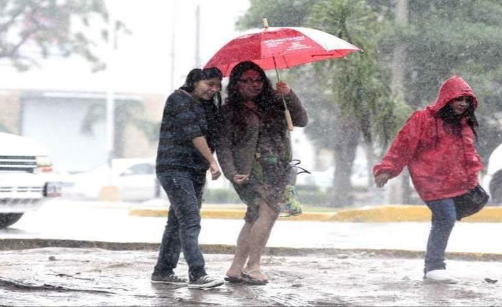 Hasta 0 grados en Tamaulipas por tormenta invernal Hasta 0 grados en Tamaulipas por tormenta invernal