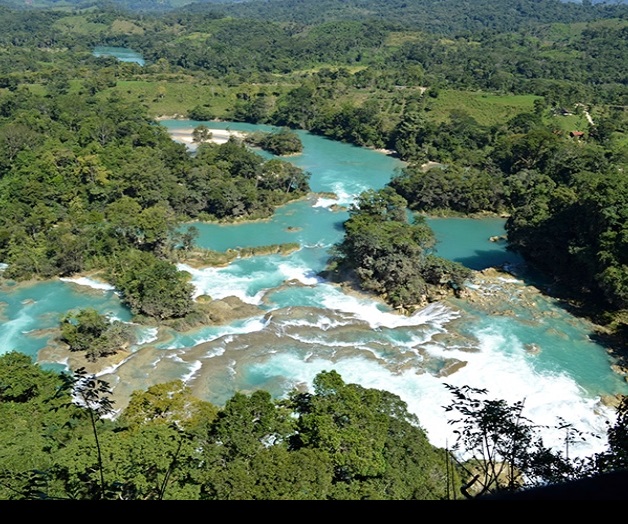 Educación ambiental, clave para cuidar el medioambiente de Chiapas Educación ambiental, clave para cuidar el medioambiente de Chiapas