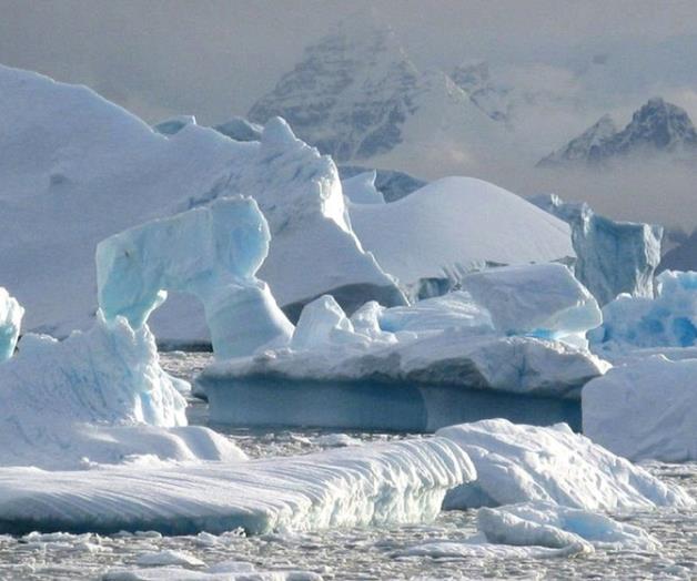 Descubren ecosistema viviendo en extremas condiciones bajo los hielos de la Antártica Descubren ecosistema viviendo en extremas condiciones bajo los hielos de la Antártica
