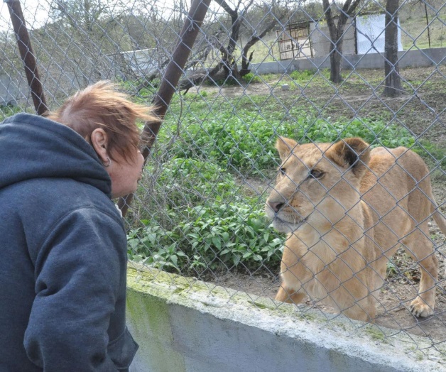 Cero bajas en el Zoo