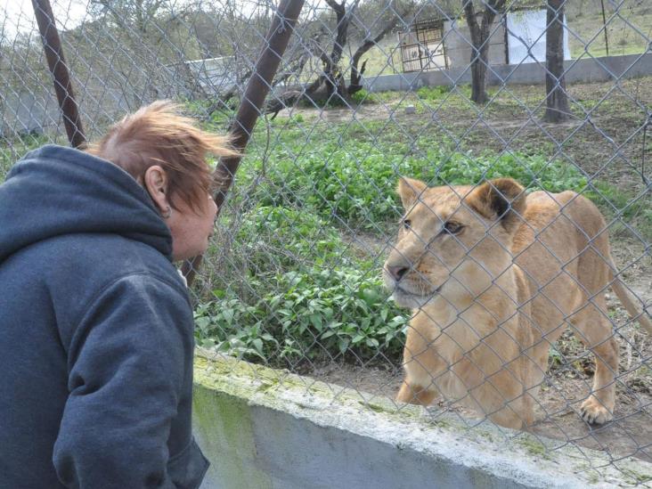 Cero bajas en el Zoo Cero bajas en el Zoo