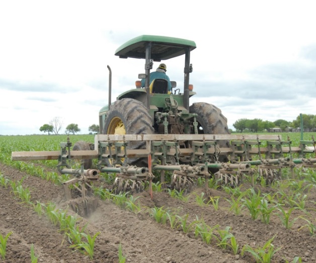 Agricultores rechazan cambios al PROAGRO Agricultores rechazan cambios al PROAGRO