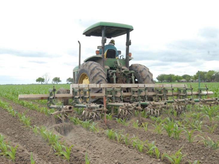 Agricultores rechazan cambios al PROAGRO Agricultores rechazan cambios al PROAGRO
