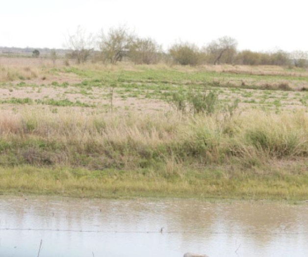 Deben a campesinosmás de $100 millones Deben a campesinosmás de $100 millones