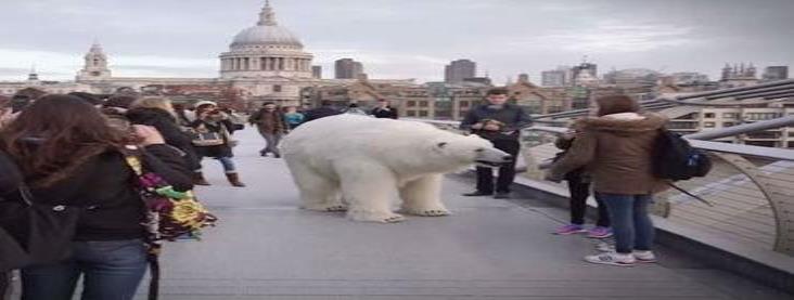 Oso polar camina por las calles de Londres Oso polar camina por las calles de Londres
