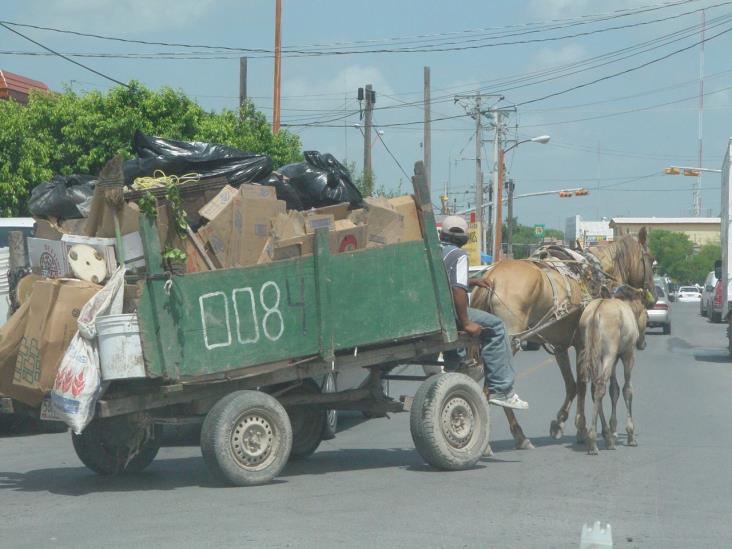 Carretoneros contaminan; urge el relleno Carretoneros contaminan; urge el relleno