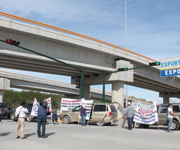 Planta Videgaraya los importadores Planta Videgaraya los importadores