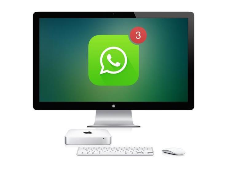 Blogger descubre falla de seguridad en WhatsApp Web Blogger descubre falla de seguridad en WhatsApp Web