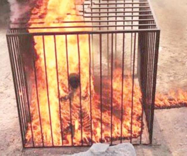 E I  quema vivo a piloto jordano