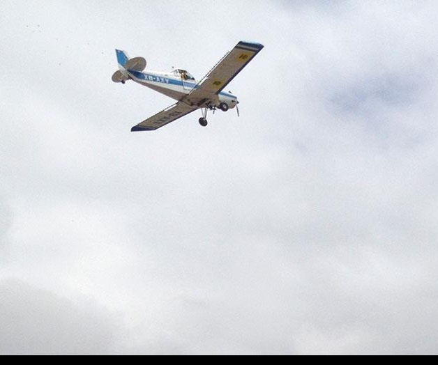 Muere piloto al desplomarse avioneta en Sonora Muere piloto al desplomarse avioneta en Sonora