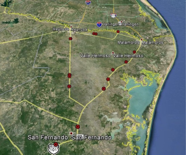 Pulgón Amarillo acecha siembras