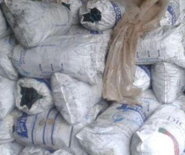 Decomisan 5.5 toneladas de carbón en Tabasco y Nayarit Decomisan 5.5 toneladas de carbón en Tabasco y Nayarit