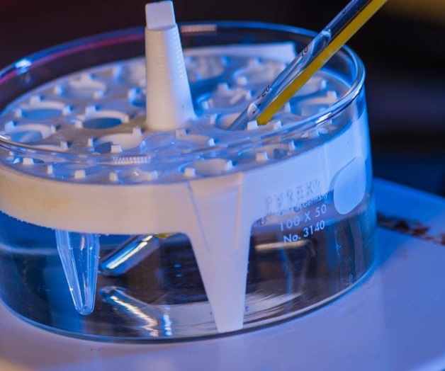 Mexicanos crean hidrogeles que atacan células cancerígenas Mexicanos crean hidrogeles que atacan células cancerígenas