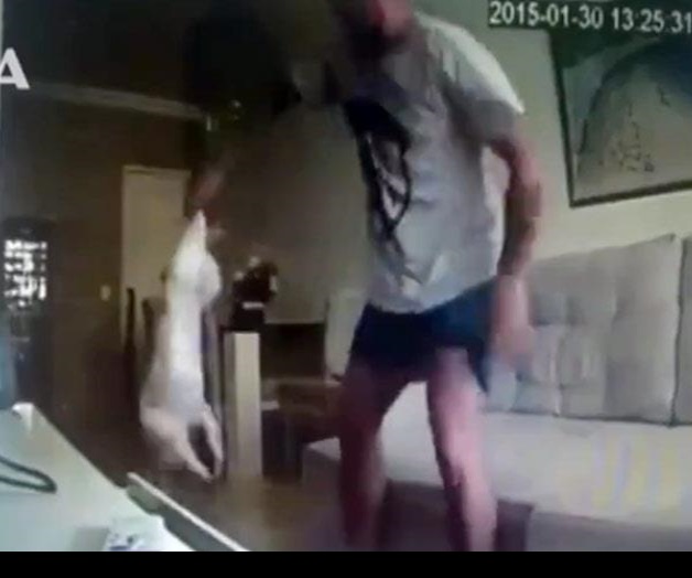 Maltrato animal: Sujeto es grabado golpeando a perro Maltrato animal: Sujeto es grabado golpeando a perro